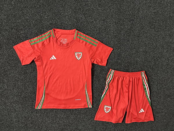 Kids-Wales 2024 Euro Home Soccer Jersey